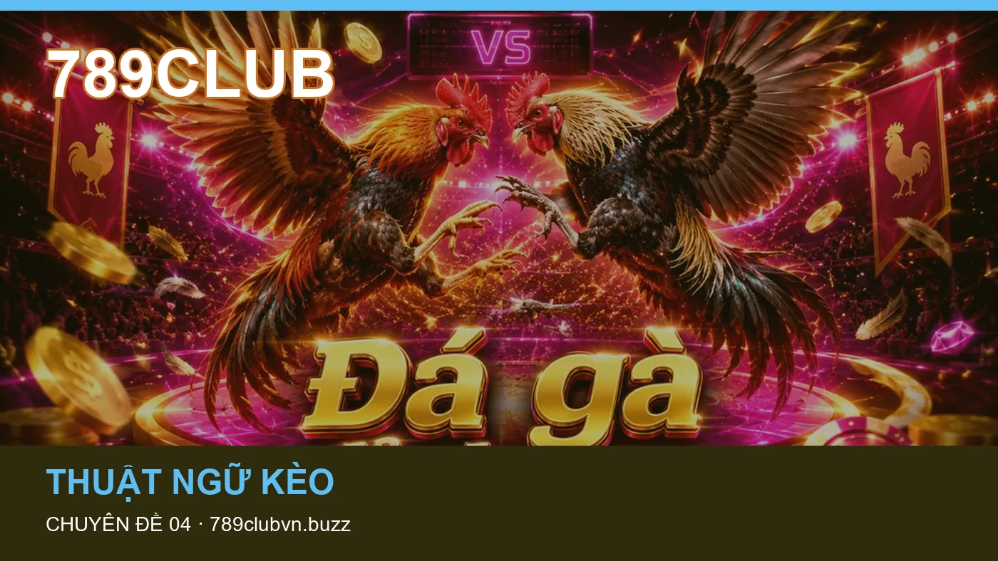 Cách bắt đầu đọc chuyên mục Giải đấu trên 789CLUB